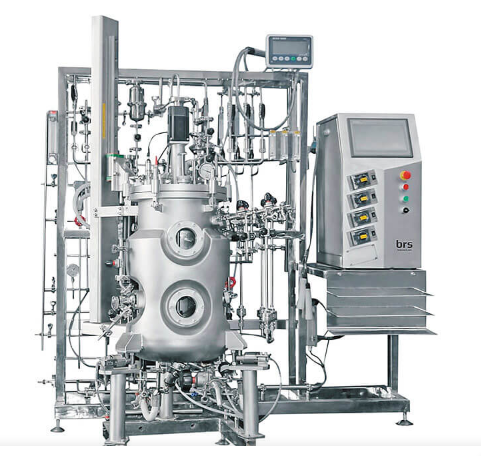 The cultivation of microorganisms for the pharmaceutical industry is a vital area of biotechnological production